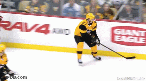A Hockey Player Stands On The Ice In Front Of Giant Eagle And Rav4 Ads GIF