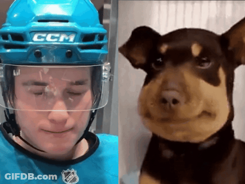 A Hockey Player Wearing A Helmet That Says Ccm Next To A Dog GIF