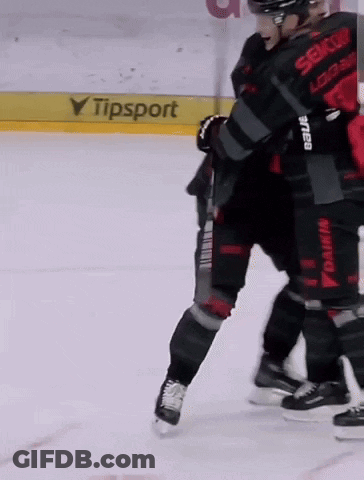 A Hockey Player Wearing A Jersey That Says Seiko On The Back GIF