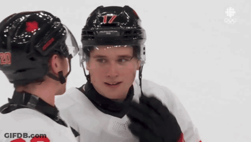 A Hockey Player With The Number 17 On His Helmet Is Talking To Another Player GIF