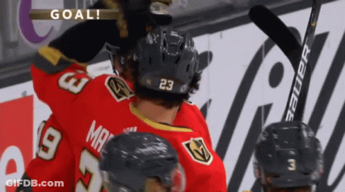 A Hockey Player With The Number 23 On His Helmet Is Celebrating A Goal GIF