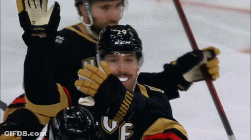 A Hockey Player With The Number 29 On His Helmet Is Smiling GIF