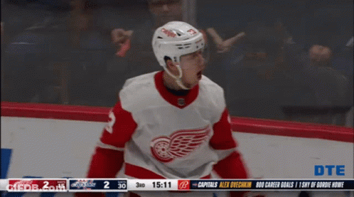 A Hockey Player With The Number 3 On His Jersey Celebrates A Goal GIF