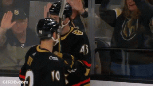 A Hockey Player With The Number 43 On His Jersey GIF