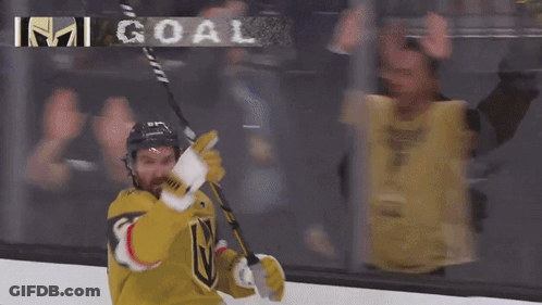 A Hockey Player With The Number 6 On His Jersey Celebrates GIF
