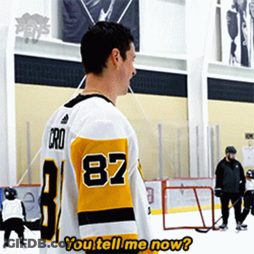 A Hockey Player With The Number 87 On His Jersey Stands On The Ice GIF