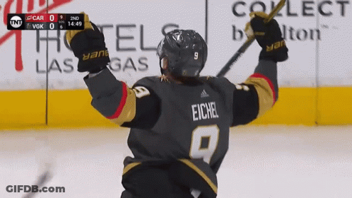 A Hockey Player With The Number 9 On His Jersey Is Celebrating GIF