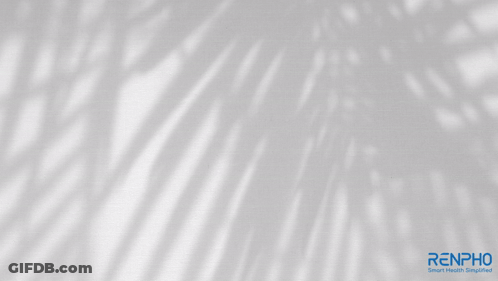 A Holy Week Message From Renpho Smart Health Simplifies GIF