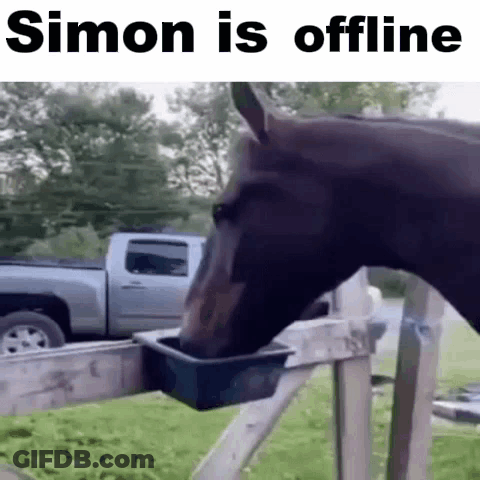 A Horse Is Drinking Water From A Bucket In A Fenced In Area . GIF