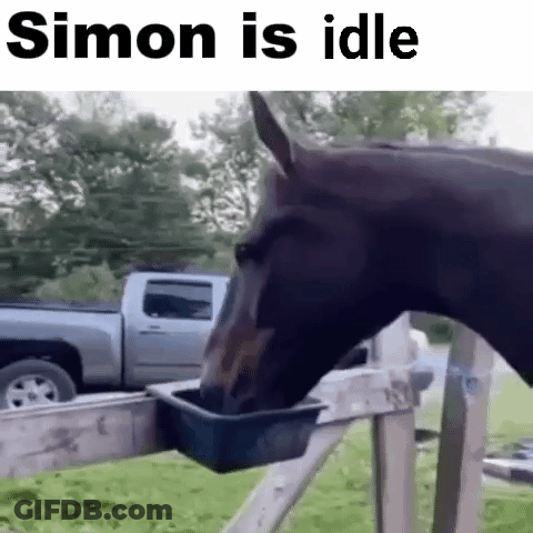 A Horse Is Drinking Water From A Plastic Container Attached To A Fence . GIF