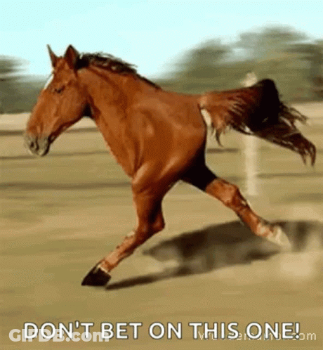 Horse Running In Field Don T Bet On This One GIF