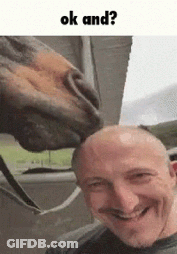 A Horse Is Sniffing A Man 'S Head And Smiling At The Camera . GIF