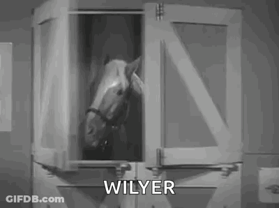 A Horse Is Standing In A Stable And Looking Out Of The Window . GIF