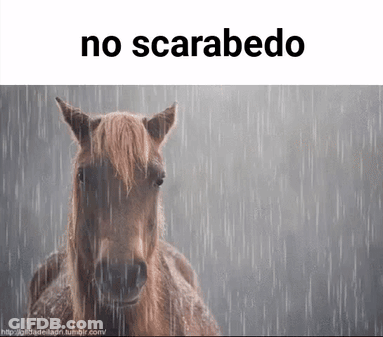 A Horse Is Standing In The Rain With The Words No Scarabedo Above It GIF