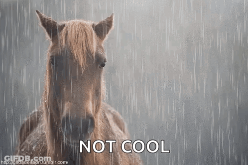 A Horse Is Standing In The Rain With The Words " Not Cool " Below It GIF