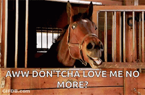 A Horse Is Sticking Its Head Out Of A Wooden Stable Door With The Caption " Aww Don 'Tcha Love Me No More " GIF