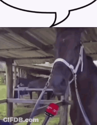 A Horse Is Talking Into A Microphone While Standing In A Stable . GIF