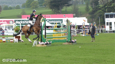 A Horse Jumping Over A Hurdle With A Yorkshire Company Sign Behind It GIF