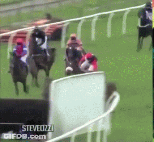 A Horse Race Is Being Filmed By Steveozzy GIF