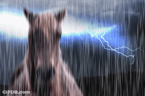 A Horse Standing In The Rain With Lightning Behind It GIF