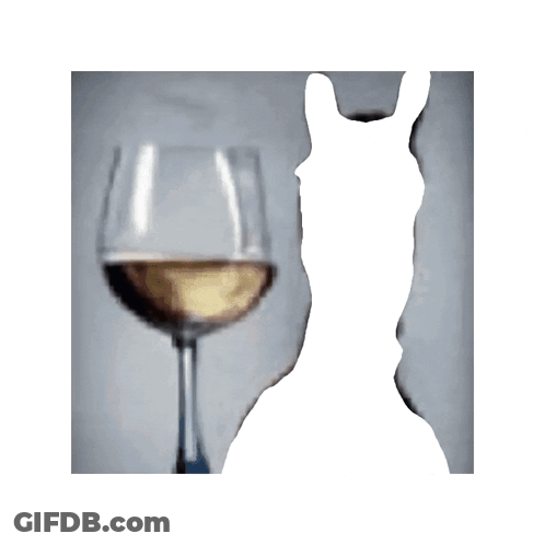 A Horse Wearing A Bridle Is Standing Next To A Glass Of Wine . GIF