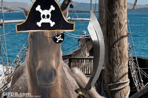 A Horse Wearing A Pirate Hat And Eye Patch Holding A Sword GIF