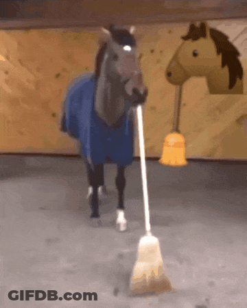 A Horse With A Broom In Its Mouth GIF
