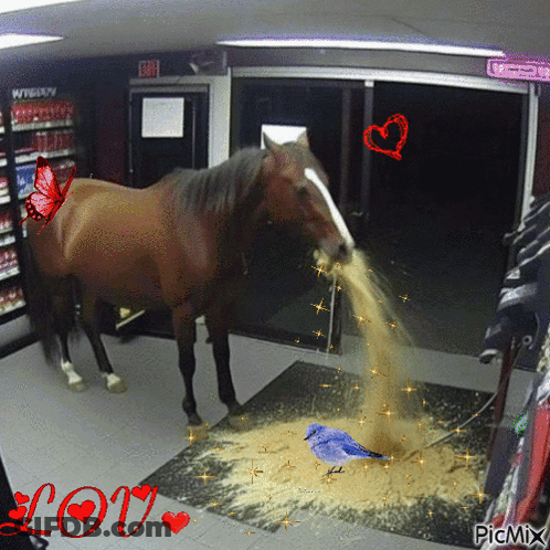 A Horse With A Butterfly On Its Back Is Standing In A Room With A Sign That Says Exit On It GIF