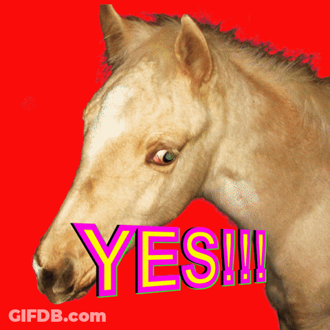 A Horse With A Red Background And The Word Yes On It GIF
