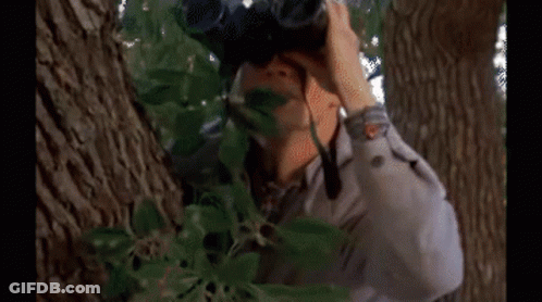 A House With A Tree In Front Of It And A Person Looking Out The Window GIF