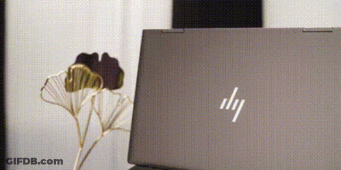 A Hp Laptop Is Sitting On A Desk Next To A Vase Of Flowers GIF