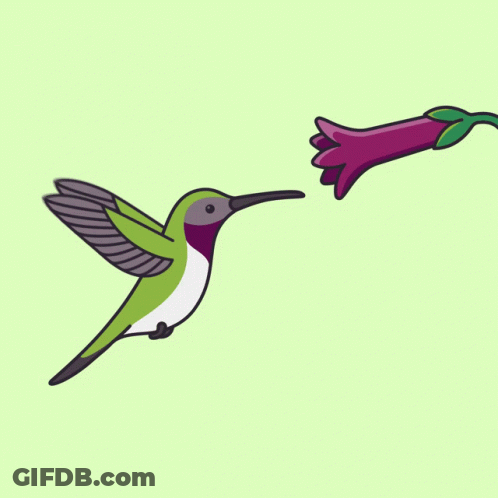 A Hummingbird Flies Towards A Purple Flower On A Green Background GIF
