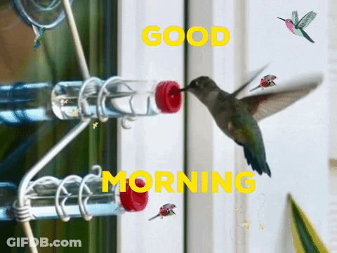 A Hummingbird Is Feeding From A Bird Feeder With The Words Good Morning Written On The Bottom GIF