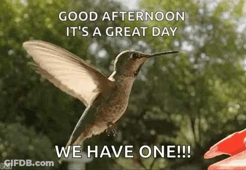 A Hummingbird Is Flying In The Air With The Words `` Good Afternoon It 'S A Great Day We Have One !!! '' GIF