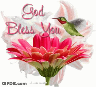 A Hummingbird Is Flying Over A Pink Flower With The Words God Bless You Written On It GIF