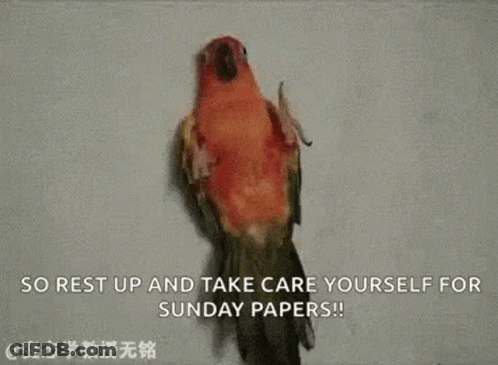 A Hummingbird Is Sitting On A Tree Branch In The Snow With A Quote . GIF