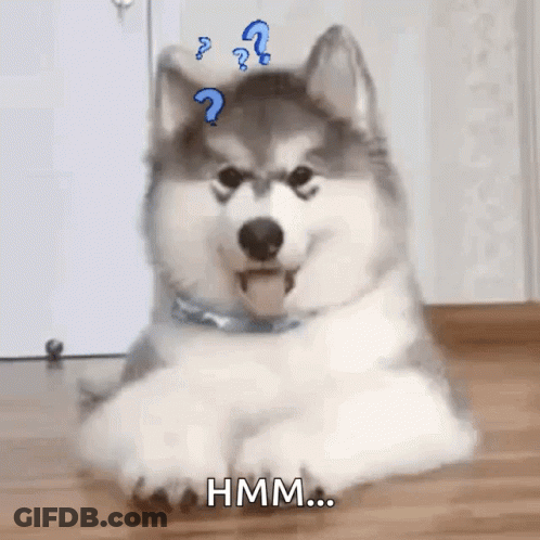 A Husky Dog Is Laying On The Floor With Its Tongue Hanging Out And A Question Mark On Its Head . GIF
