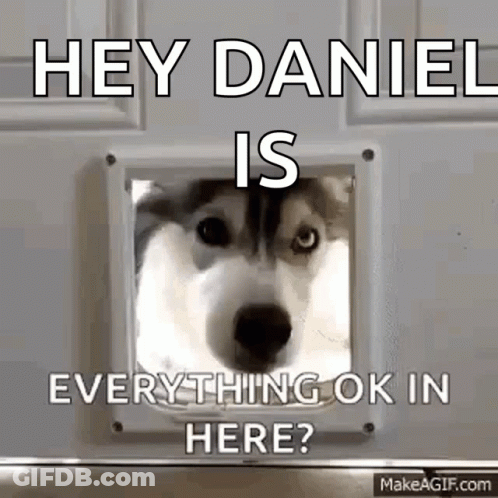 A Husky Dog Looking Through A Cat Door With The Caption Hey Daniel Everything Ok In Here ? GIF