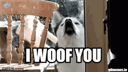A Husky Dog Says I Woof You While Looking Through A Glass Door GIF