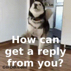 A Husky Dog Standing On Its Hind Legs With The Words How Can Get A Reply From You GIF