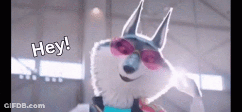 A Husky Dog Wearing Pink Sunglasses Is Standing In A Warehouse . GIF