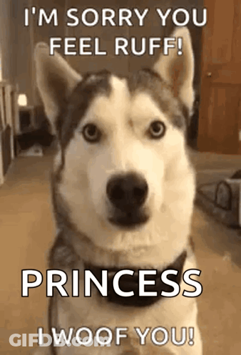 A Husky Dog With The Words `` I 'M Sorry You Feel Ruff ! Princess I Woof You '' GIF