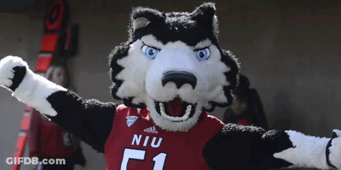 A Husky Mascot Wearing A Niu Jersey With The Number 1 GIF
