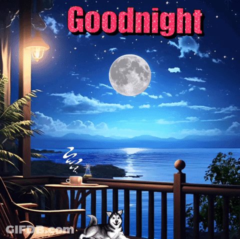 A Husky Sleeping On A Porch With A Full Moon In The Background And The Words Goodnight GIF