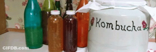 A Jar Of Kombucha Sits On A Counter Next To Several Bottles GIF