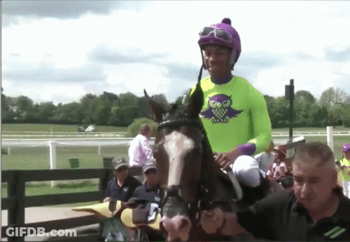 A Jockey In A Neon Green Shirt With An Owl On It Rides A Horse GIF