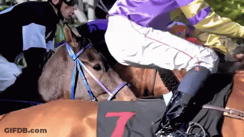 A Jockey In A Purple Shirt Is Riding A Horse In Front Of A Sign That Says 7 GIF