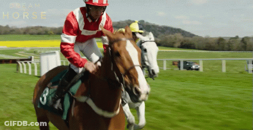 A Jockey Is Riding A Horse With The Number 3 On Its Saddle GIF