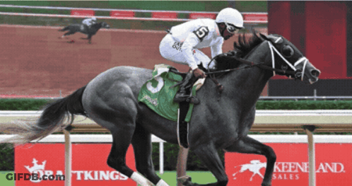 A Jockey Is Riding A Horse With The Number 5 On It GIF