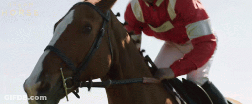 A Jockey Is Riding A Horse With The Words Dream Horse On The Bottom Right GIF